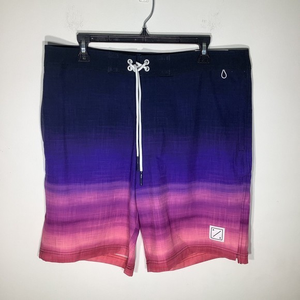 American‎ Eagle Mens Board Shorts Blue Purple Pink Size Large NWT